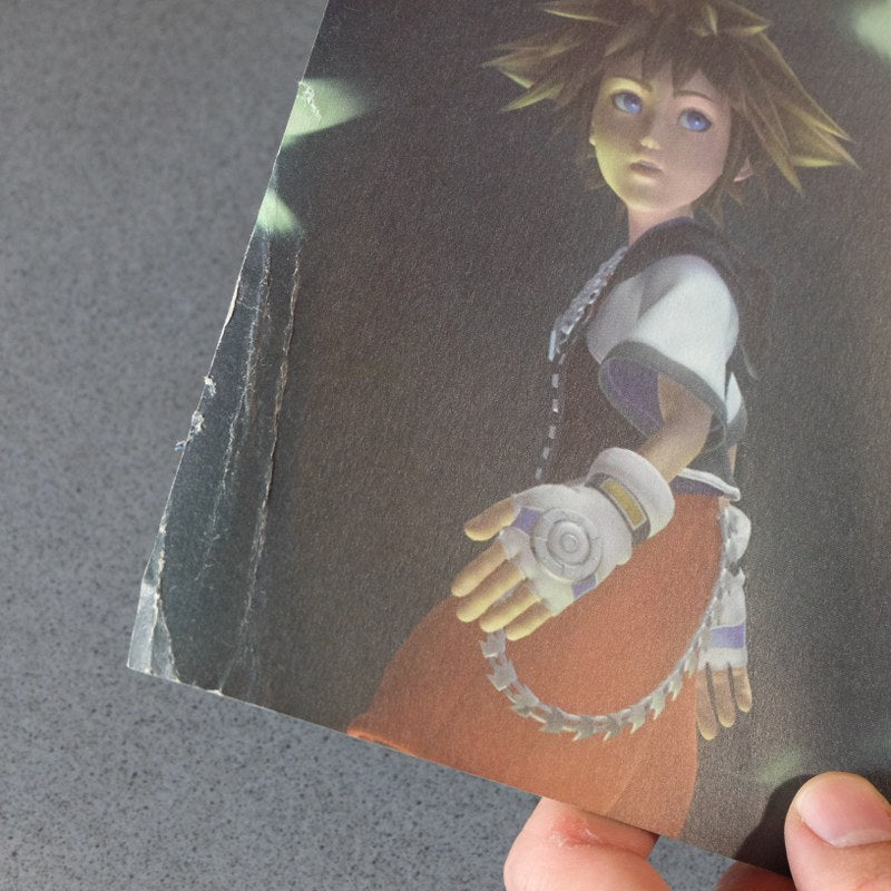 Kingdom Hearts La Guida Ufficiale Completa